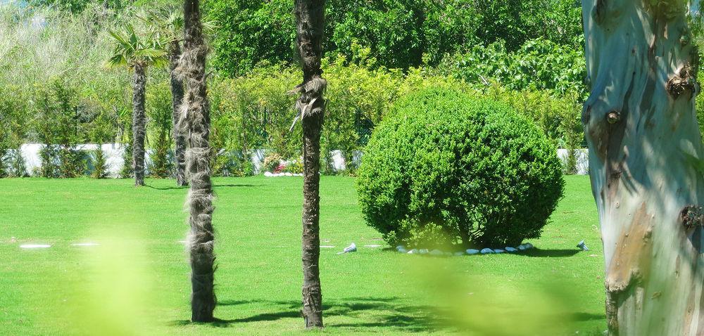 Hotel Eden Park Cilento Ispani エクステリア 写真